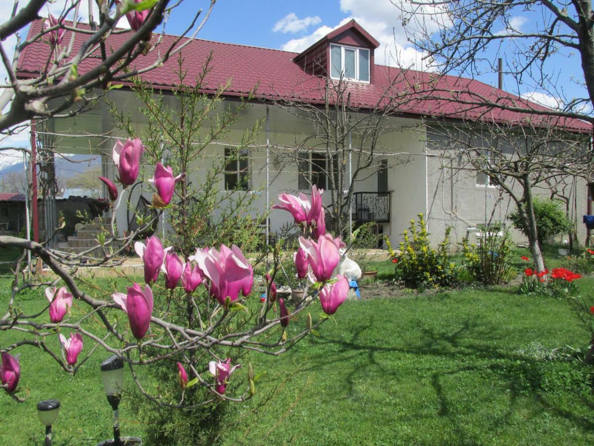 Guest House Melissa Duisi 외부 사진